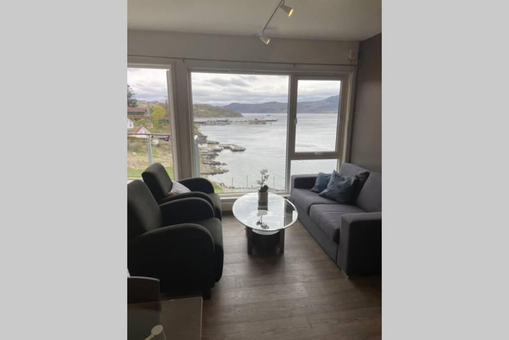 Flott Leilighet Med Spektakulaer Utsikt! Hjelmeland Buitenkant foto